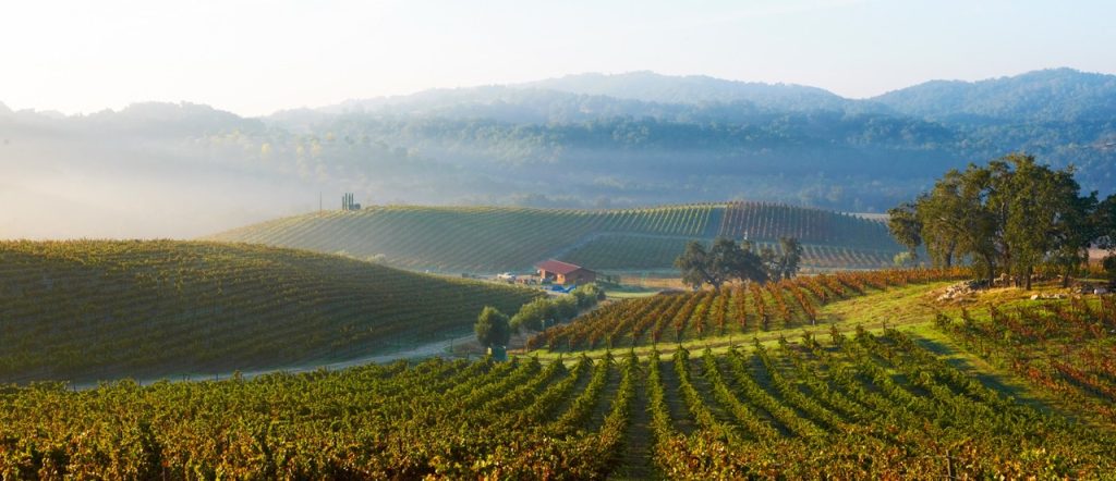 Tablas_Creek_Vineyard Large